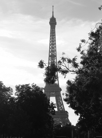 View of Eiffel Tower from the Champ de Mars park area. Weather is overcast and surroundings are shady, with many trees in full foliage. This version of the photo is in black and white. 
