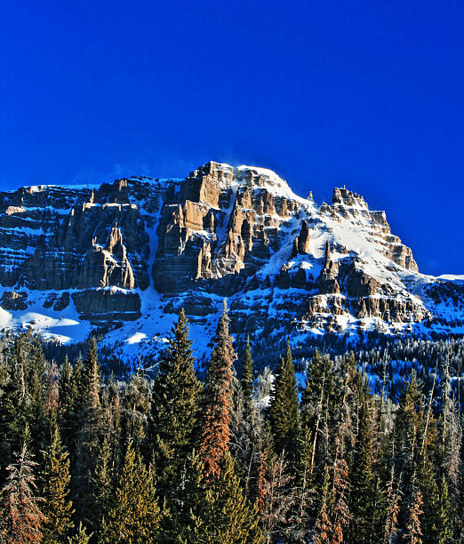 brecha calcária pico e penhascos nas montanhas absaroka intervalo de wyoming - copy space alpenglow winter mountain range imagens e fotografias de stock