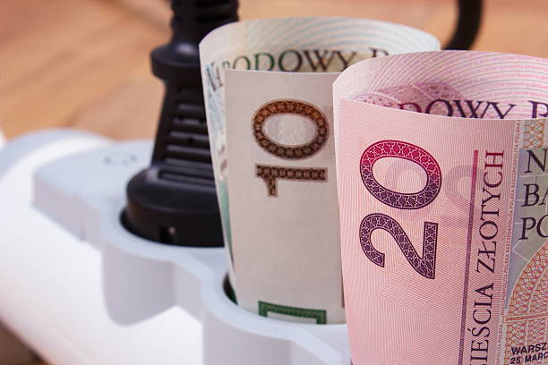 istock Rolls of polish currency in electrical power strip, connected plug 492037788
