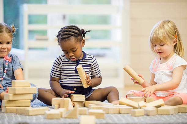 istock Toddlers Working on Block Towers 492038080