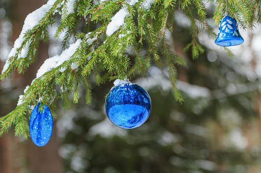 Christmas holiday sparkling bauble silver and ultramarine ornaments outdoors are on snowy fir branches