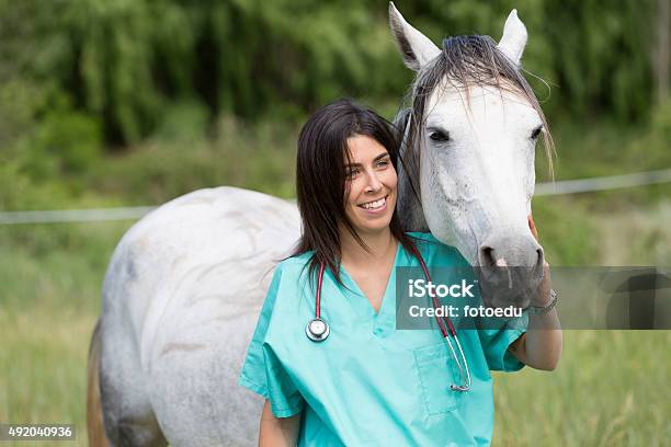 Veterinary On A Farm Stock Photo - Download Image Now - Veterinarian, Horse, Agricultural Field