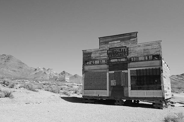 Rhyolite is a ghost town in Nye County, in the U.S. state of Nevada. It is in the Bullfrog Hills, about 120 miles (190 km) northwest of Las Vegas, near the eastern edge of Death Valley. The town began in early 1905 as one of several mining camps that sprang up after a prospecting discovery in the surrounding hills. During an ensuing gold rush, thousands of gold-seekers, developers, miners and service providers flocked to the Bullfrog Mining District. Many settled in Rhyolite, which lay in a sheltered desert basin near the region's biggest producer, the Montgomery Shoshone Mine.