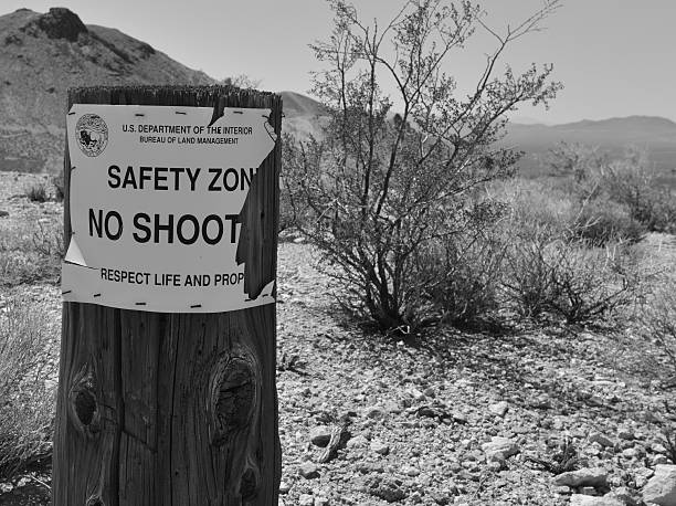 Rhyolite is a ghost town in Nye County, in the U.S. state of Nevada. It is in the Bullfrog Hills, about 120 miles (190 km) northwest of Las Vegas, near the eastern edge of Death Valley. The town began in early 1905 as one of several mining camps that sprang up after a prospecting discovery in the surrounding hills. During an ensuing gold rush, thousands of gold-seekers, developers, miners and service providers flocked to the Bullfrog Mining District. Many settled in Rhyolite, which lay in a sheltered desert basin near the region's biggest producer, the Montgomery Shoshone Mine.