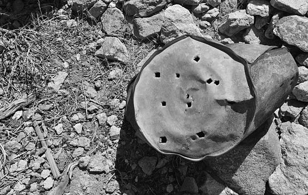 Rhyolite is a ghost town in Nye County, in the U.S. state of Nevada. It is in the Bullfrog Hills, about 120 miles (190 km) northwest of Las Vegas, near the eastern edge of Death Valley. The town began in early 1905 as one of several mining camps that sprang up after a prospecting discovery in the surrounding hills. During an ensuing gold rush, thousands of gold-seekers, developers, miners and service providers flocked to the Bullfrog Mining District. Many settled in Rhyolite, which lay in a sheltered desert basin near the region's biggest producer, the Montgomery Shoshone Mine.