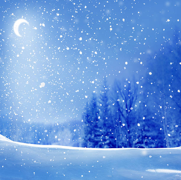 istock winter christmass night landscape 492042584