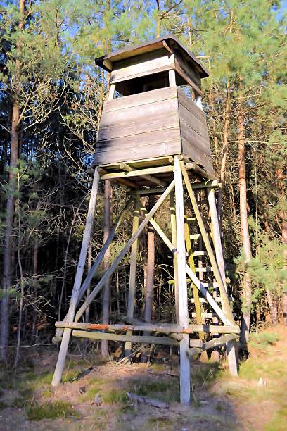 raised hide High seat of a hunter in a forest in Germany standort stock pictures, royalty-free photos & images