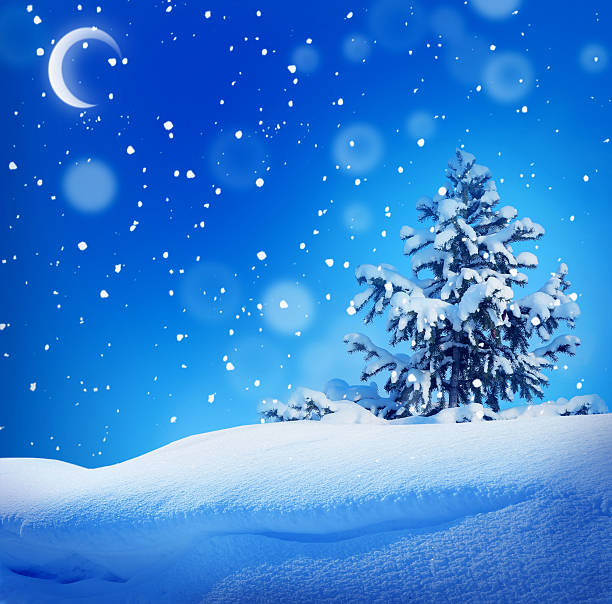 istock winter christmass night landscape 492043876