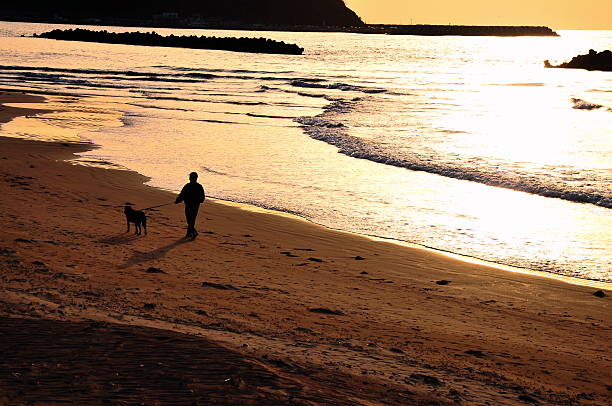 istock man and dog in beach 492044722