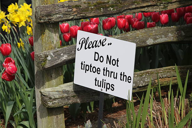 istock Sign In A Tulip Garden 492056149
