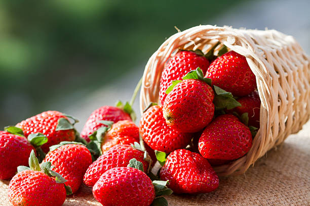 istock strawberries in natural background 492056931
