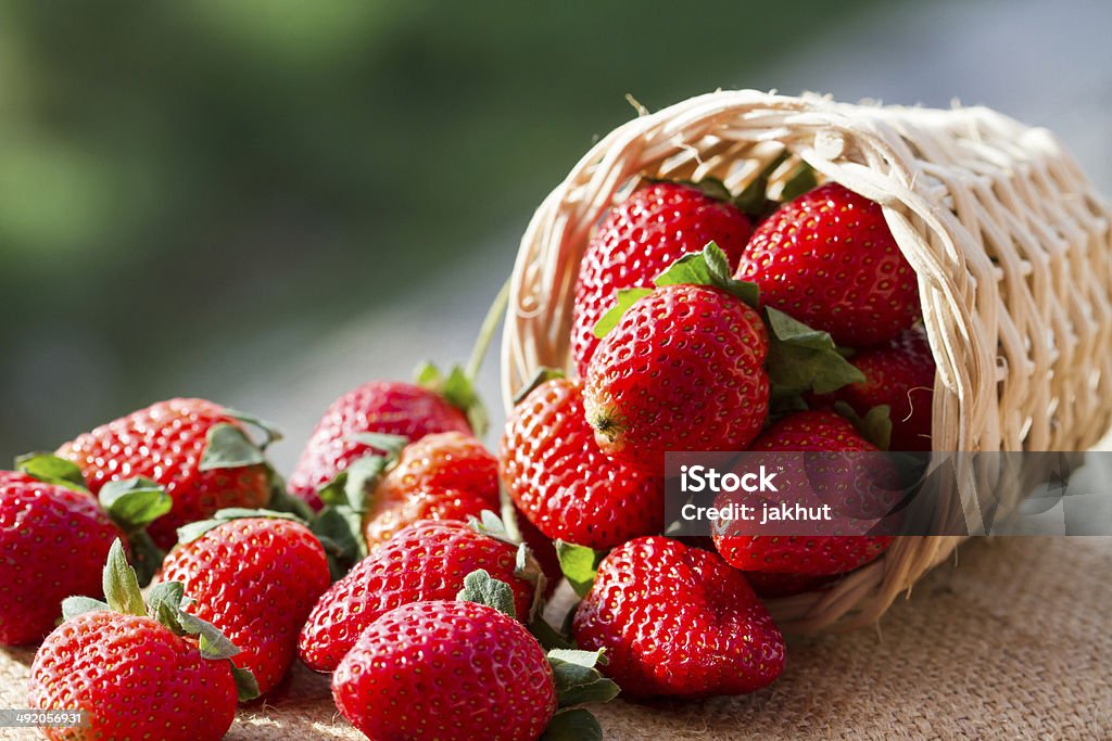 strawberries in natural background Abundance Stock Photo