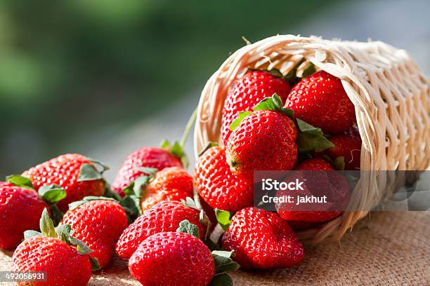 Strawberries In Natural Background Stock Photo - Download Image Now - Abundance, Agriculture, Basket