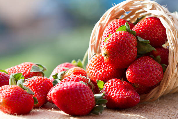istock strawberries in natural background 492056947