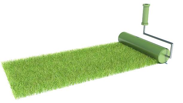 istock illustration of green paint of grass. Roller isolated on white 492057549