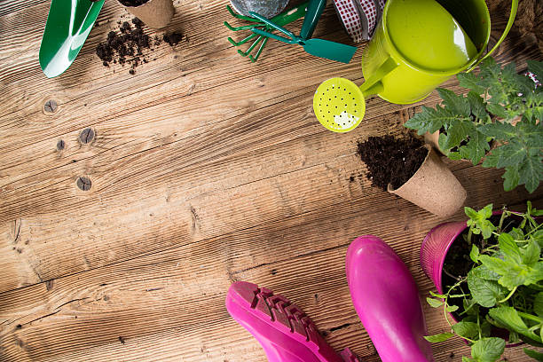 istock Outdoor gardening tools and herbs 492058523
