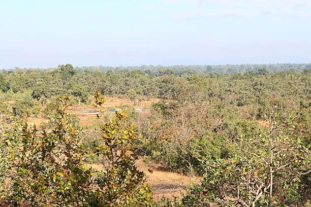 istock View lanscape of Pha Taem National Park 492059013