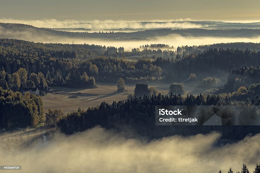 Foggy nature reserve park view Beautiful landscape of Aulanko nature reserve park in Finland. Thick fog covering the scene in the early morning. HDR image. 2015 Stock Photo