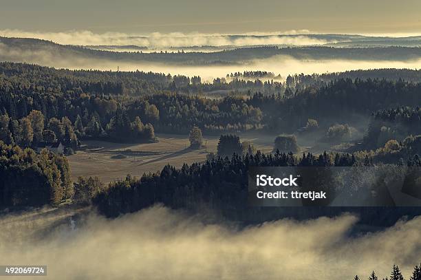 Foggy Nature Reserve Park View Stock Photo - Download Image Now - 2015, Aerial View, Autumn