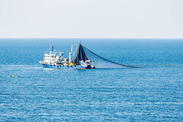 strascico barca da pesca - turkish culture turkey fishing boat fishing foto e immagini stock