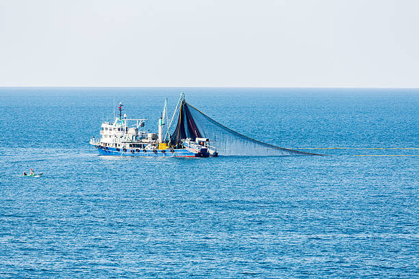 trawl 낚시는요 배죠 - turkey black sea coast 뉴스 사진 이미지