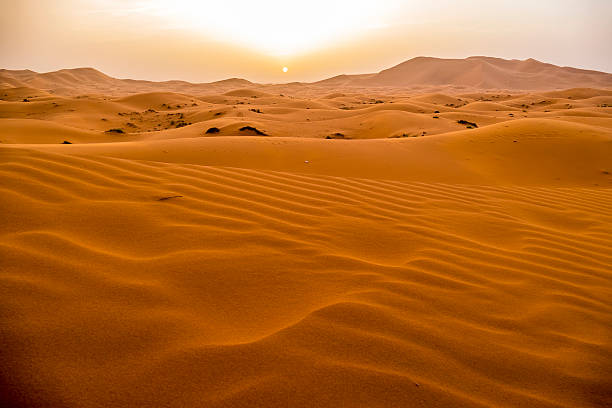 istock Sand dunes in Merzouga, Morocco 492070344