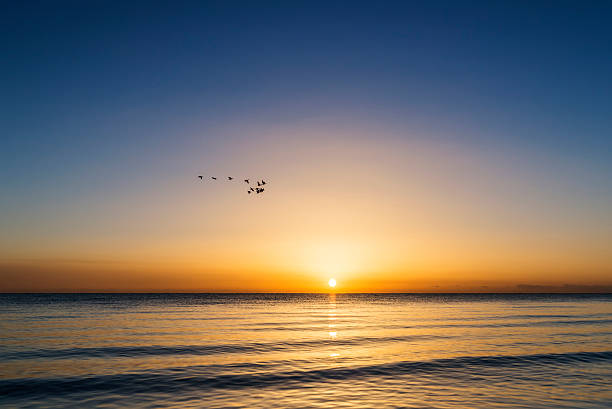 istock qinghai lake, sunrise 492070360
