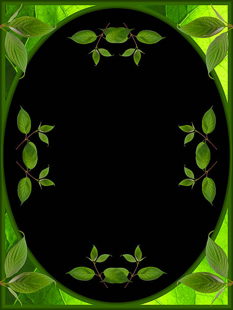 istock frame of leaves on black background 492070478
