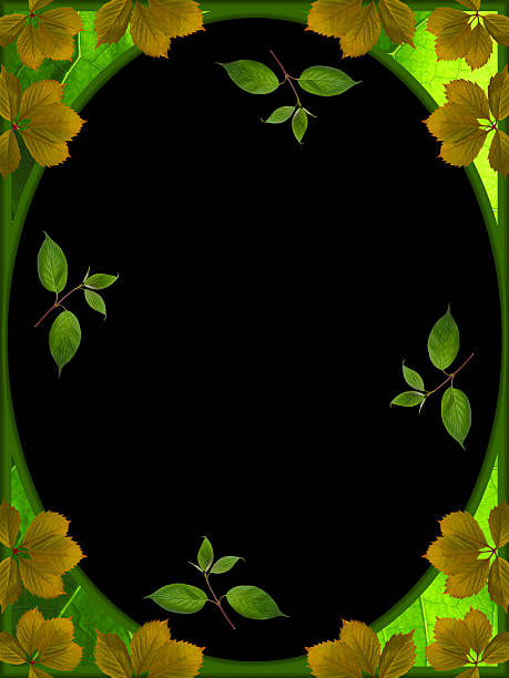 istock frame of leaves on black background 492070530