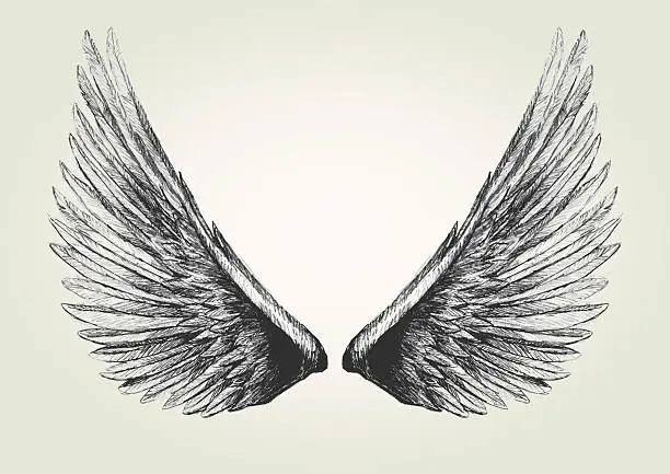 Vector illustration of Wings