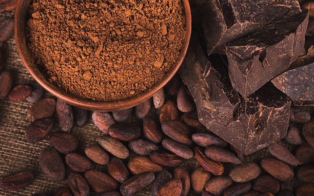 Raw cocoa beans stock photo