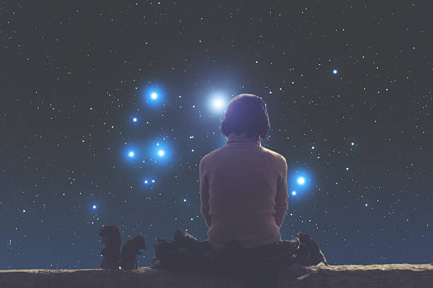 istock Girl watching the stars. 492071878