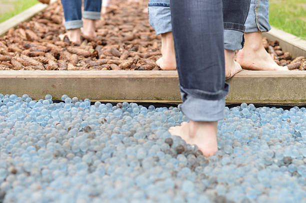 Barefoot trail, park, walk of senses. Pine cones and glass balls.