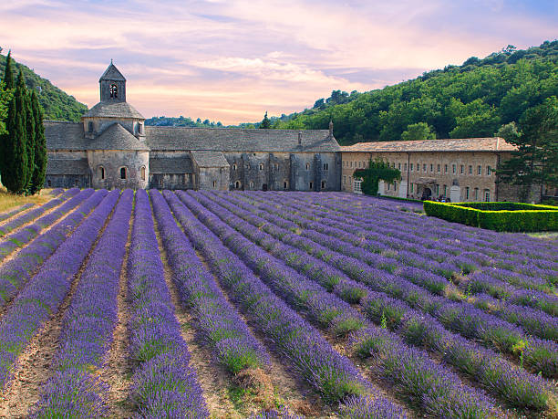istock Abbey of Senanque with lavender field 492074118