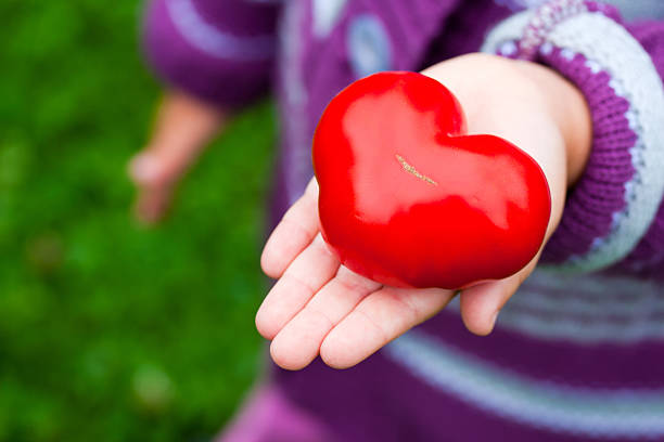istock Child's hands holding a heart shaped tomato. 492075452