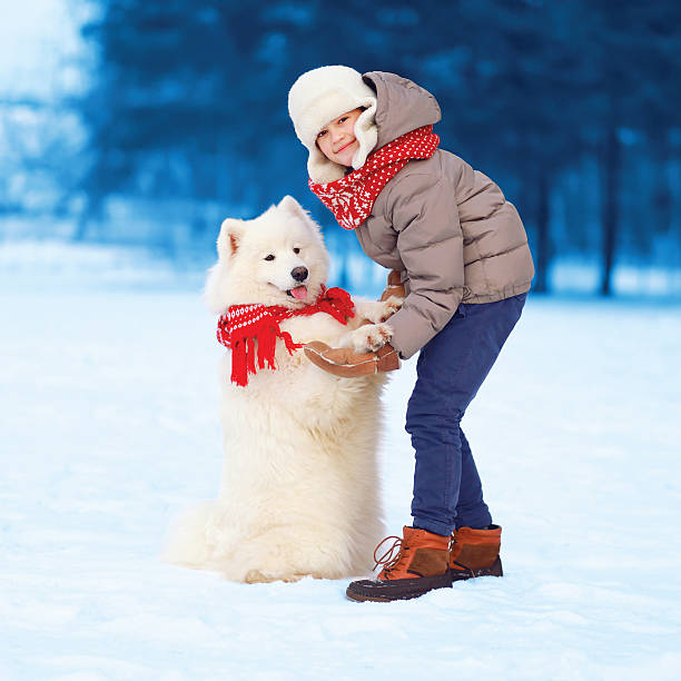istock Christmas, winter - happy boy playing with white Samoyed dog 492076438