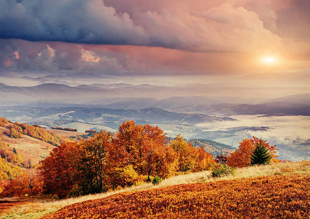 istock rock massif in the Carpathians. 492077260
