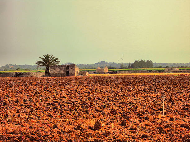 mallorcinische finca - lank - fotografias e filmes do acervo