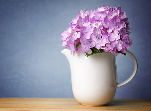 istock the sweet  hydrangea flowers in white vase 492080168