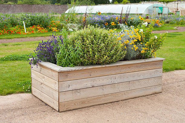 istock flowers and herbs  in wooden box 492082236