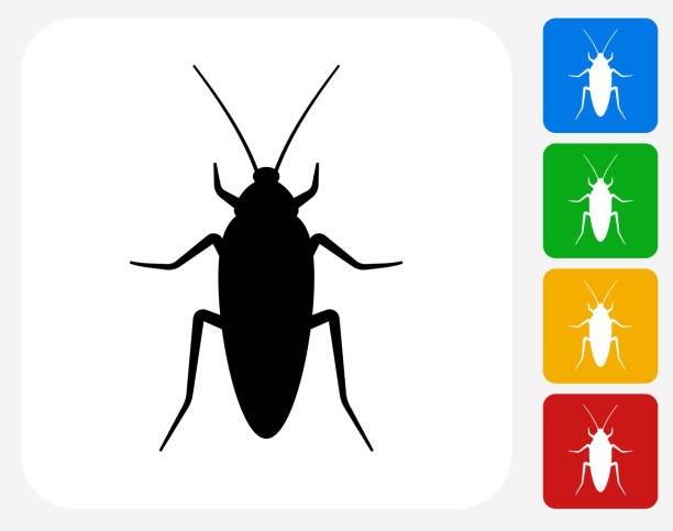 Cockroach Icon Flat Graphic Design Cockroach Icon. This 100% royalty free vector illustration features the main icon pictured in black inside a white square. The alternative color options in blue, green, yellow and red are on the right of the icon and are arranged in a vertical column. blatta orientalis stock illustrations