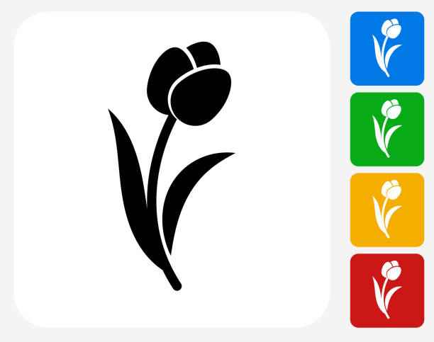 tulip ikona płaskie projektowania graficznego - tulip single flower flower yellow stock illustrations