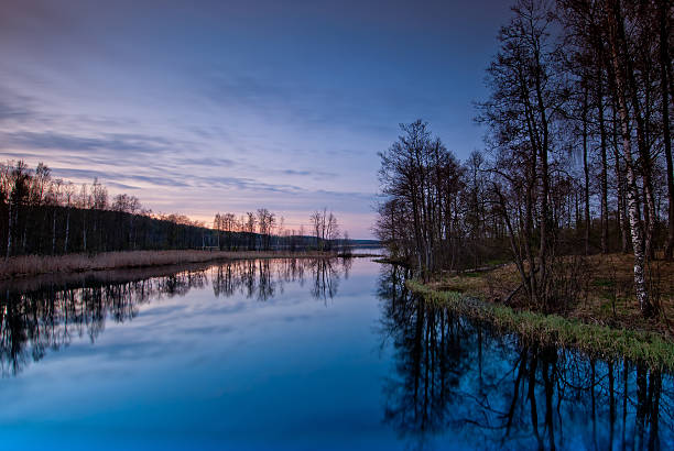 istock beautiful landscape at sunset. Bare trees around calm lake 492092698