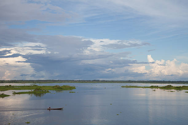 амазонас пейзаж - iquitos стоковые фото и изображения