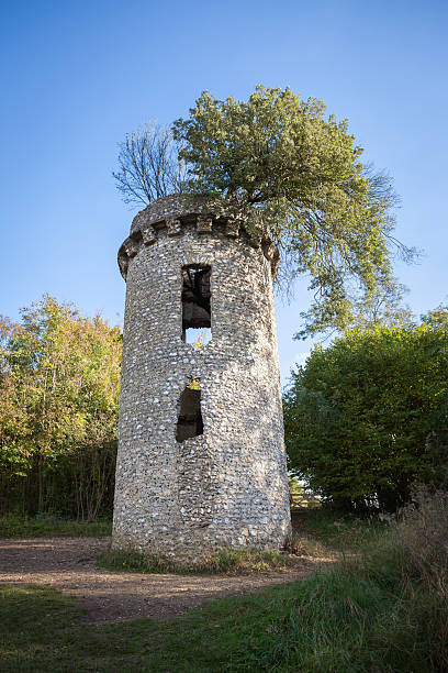 istock Broadwood's Folly 492093558