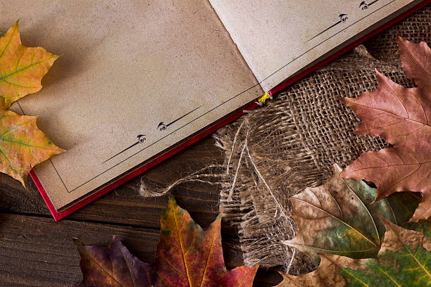 istock top view of the old book 492093724