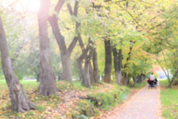 Park alley footpath