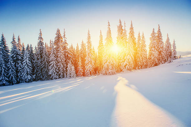 magnifique paysage d'hiver dans les montagnes - winter sunset sunrise forest photos et images de collection