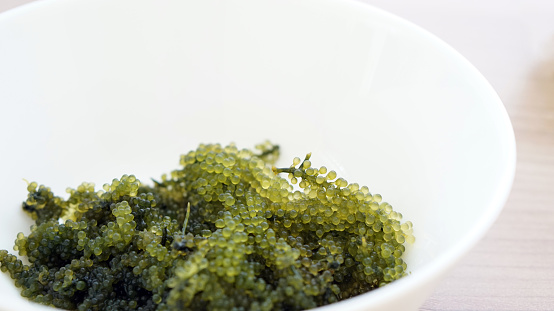 Sea grape seaweed, uni budou. Japanese ocean seaweed food. great food for vegan and vegetarian