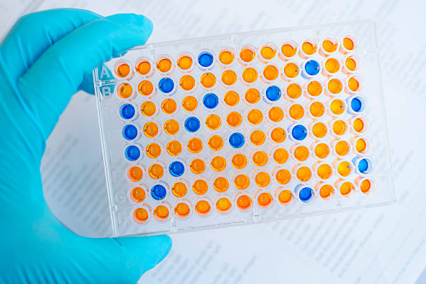 placa elisa - microplate fotografías e imágenes de stock